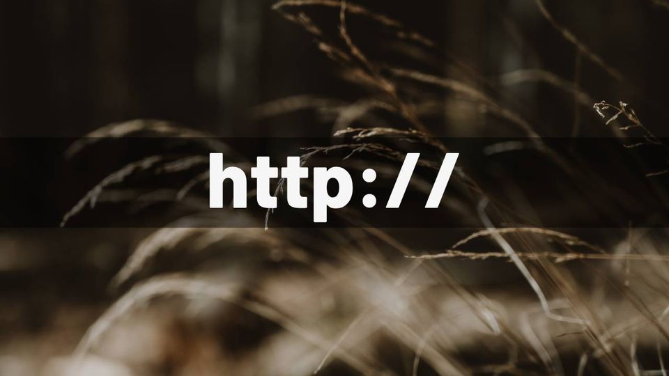 HTTP Basics