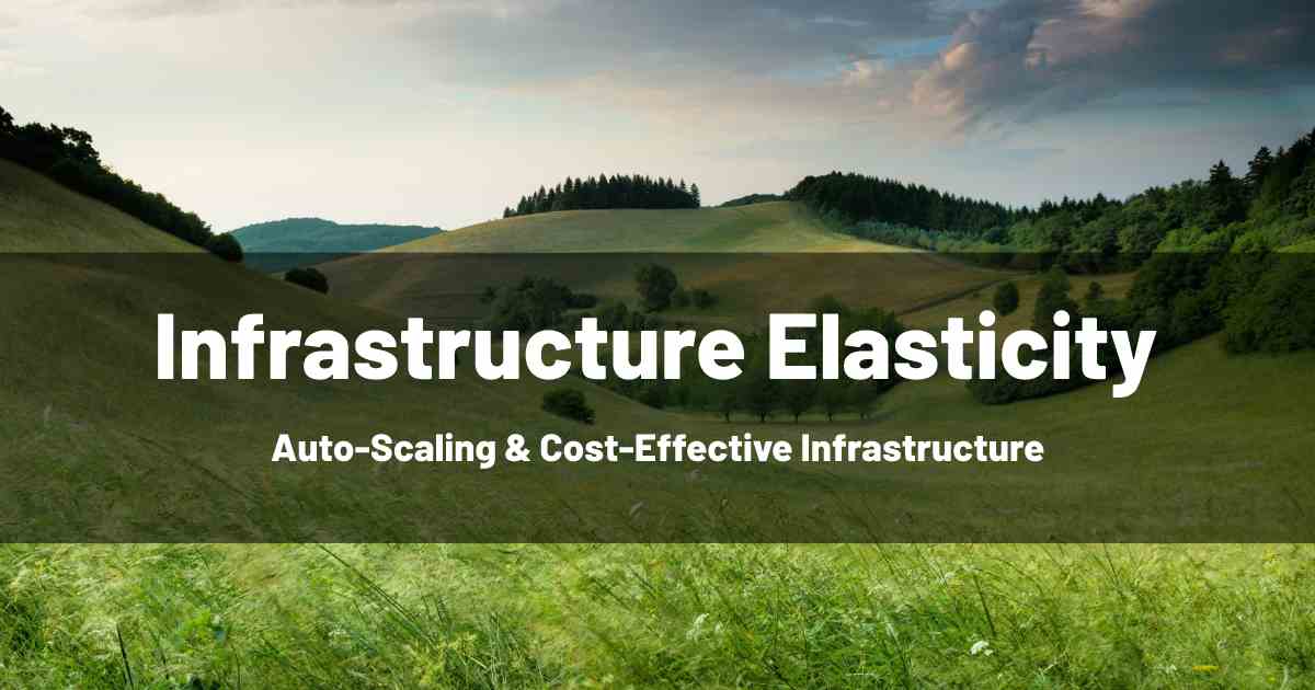 Infrastructure Elasticity