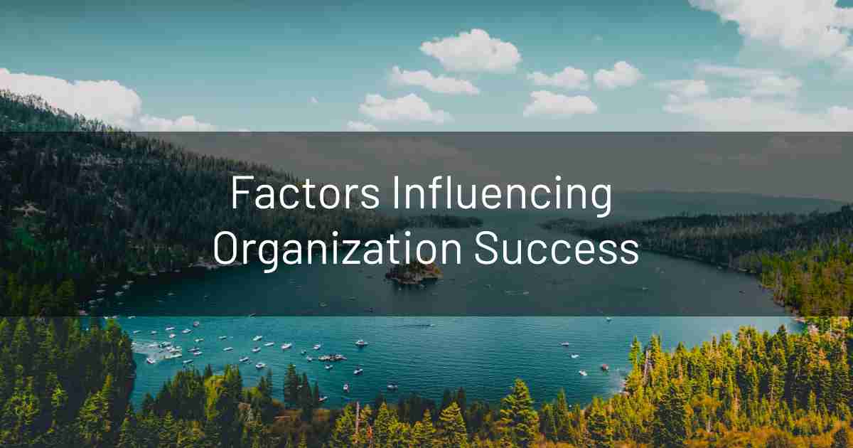 Factors Influencing Software Org Success