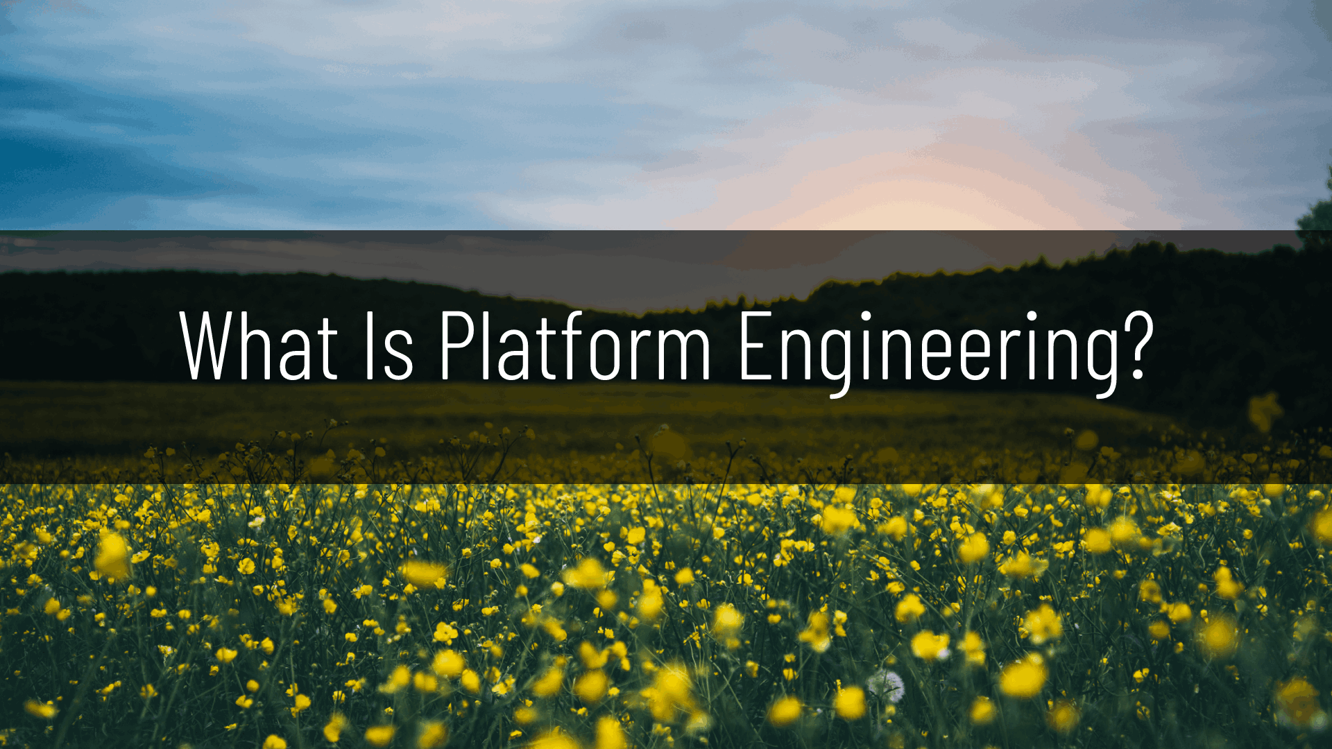 What Is Platform Engineering?